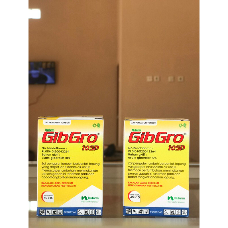 GIBRO 10 SP (1) Gram ZPT