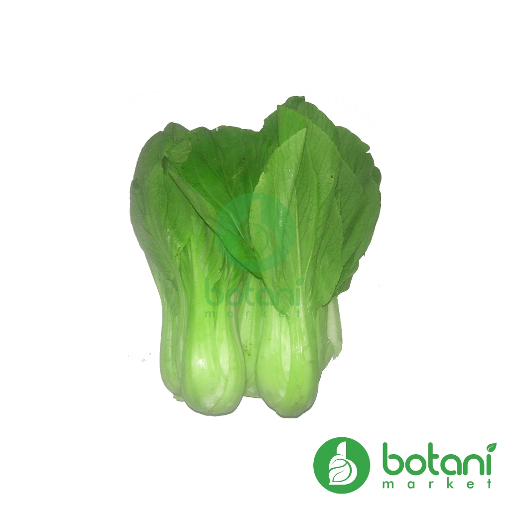 

Pakcoy / Sawi Daging / Bok Choy 100 GR - 500 GR [BJB - KALSEL] *INSTANT ALLOWED*