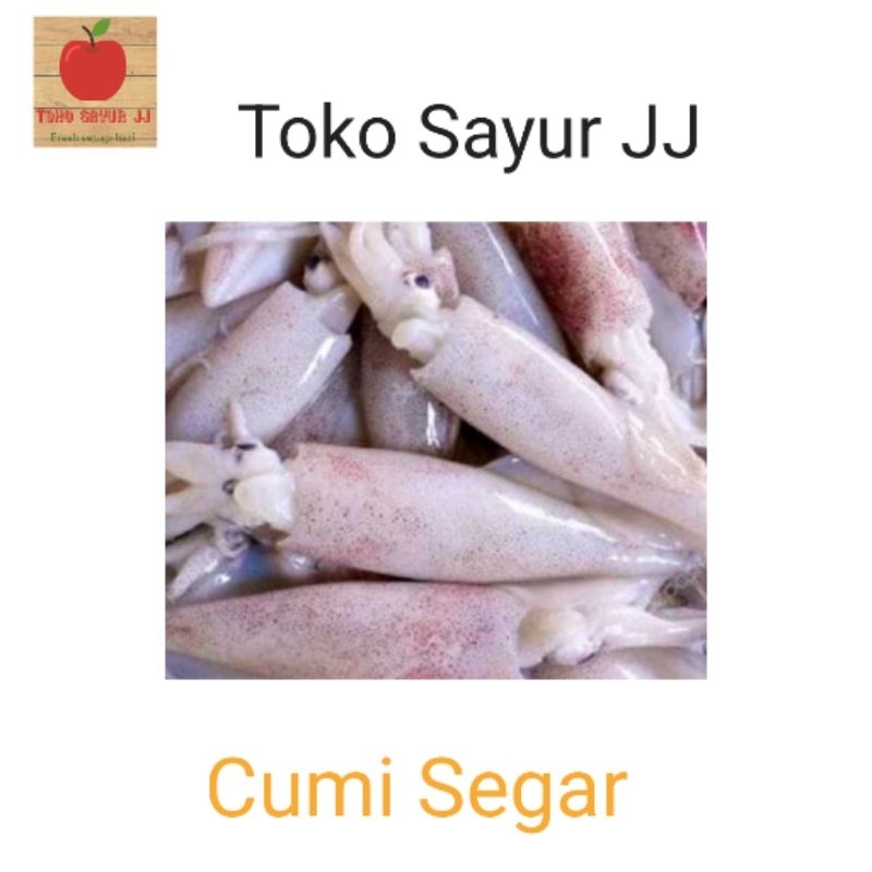 Cumi segar cumi bangka - toko sayur JJ Palembang