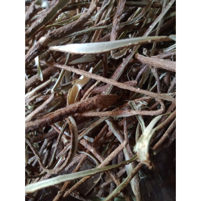 

100 gram Kulit Pohon Pule Kulit Pulay Kulit Pohon Pulay Herbal Alami Jamu Tradisional Kering Kulit Pohon Lame Babakan Lame Gelam Pule