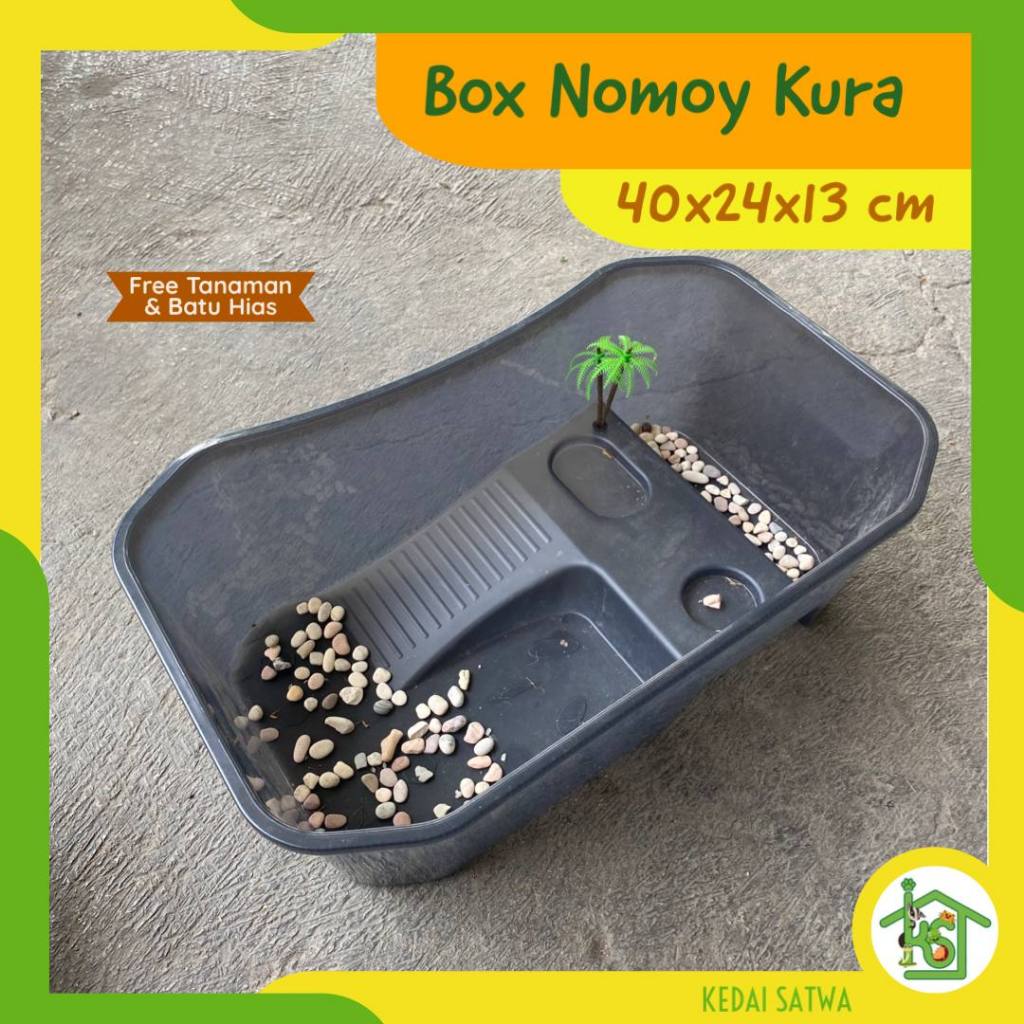 Box Nomoy Kura-Kura Air Brazil Dada Merah| Kandang Kura-Kura | Tempat Kura Kedai Satwa