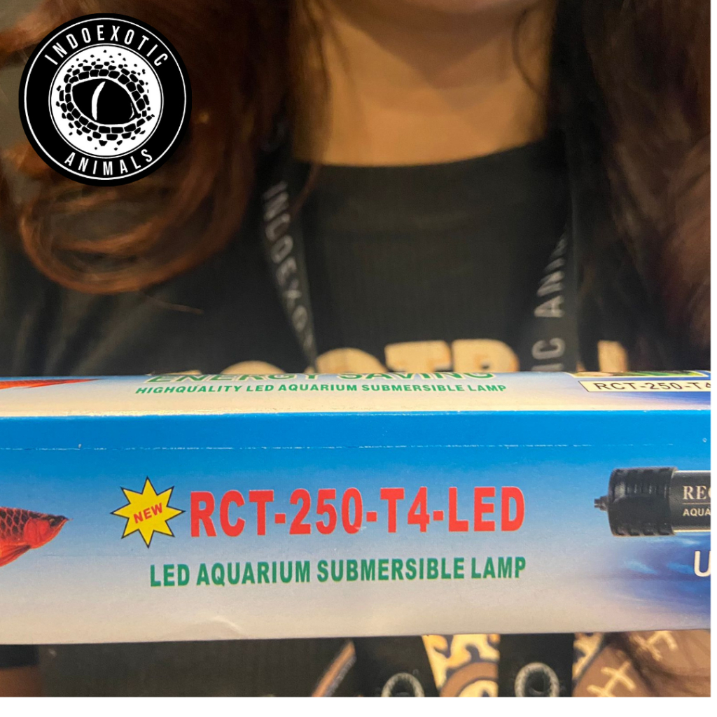 Lampu celup aquarium 25 Cm RECENT RCT 250 T4 LED Lampu celup aquarium - Putih, S