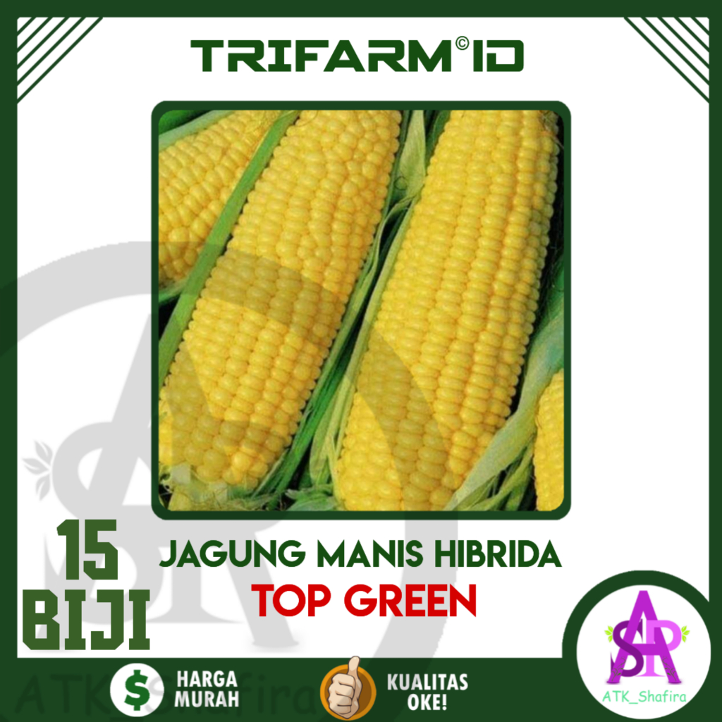 TRIFARM 15 Biji Benih Bibit Jagung Manis Hibrida Top Green Kemasan Ziplock