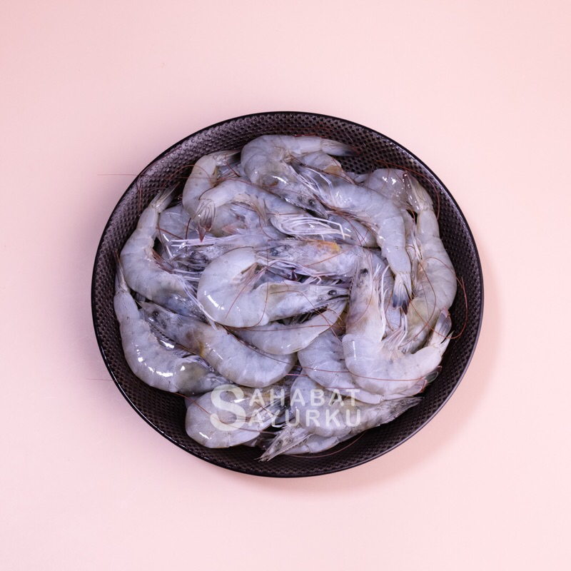 

Udang / ikan laut