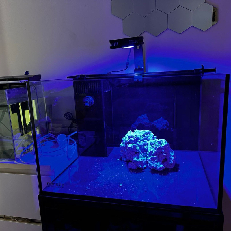 Lampu Aquarium Air Laut