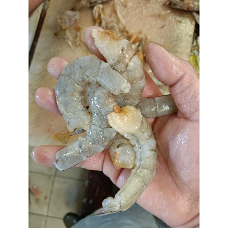 

Udang kupas jumbo isi 80ekor 1kg