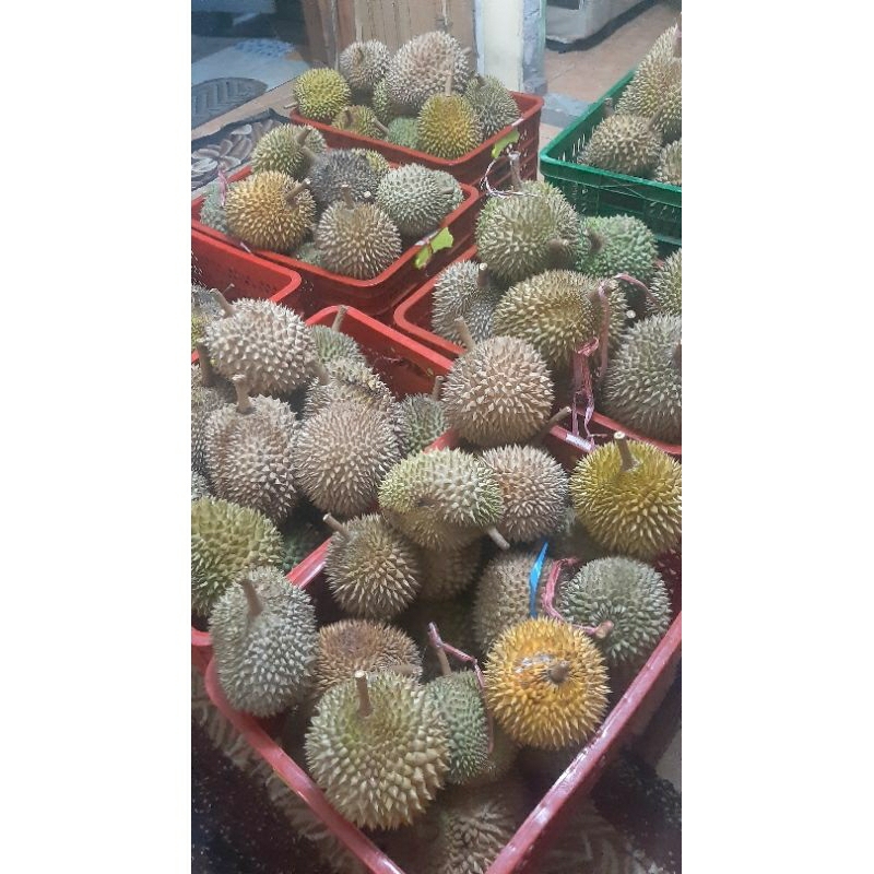 

Durian