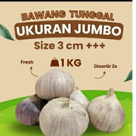 

Bawang Putih Tunggal Lanang Besar JUMBO 1KG/ fresh import