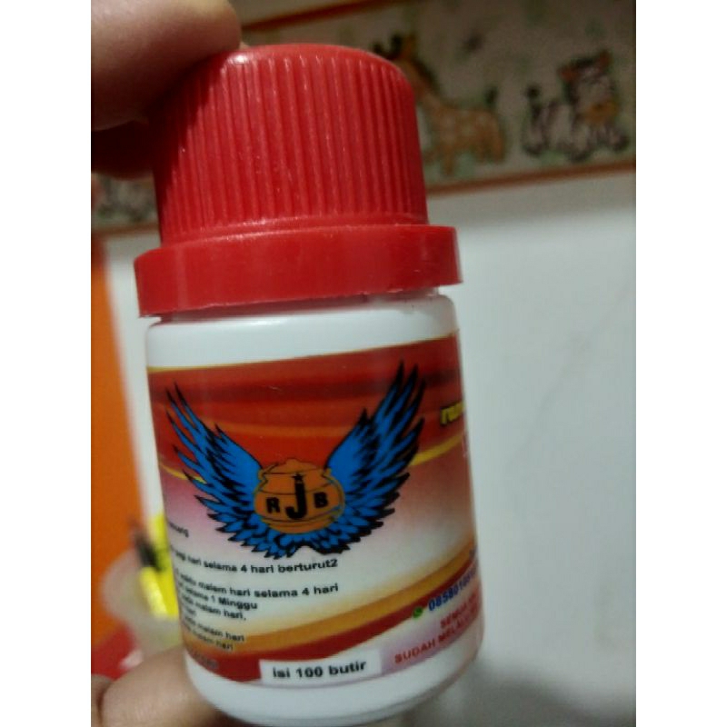 jamu merpati RJB