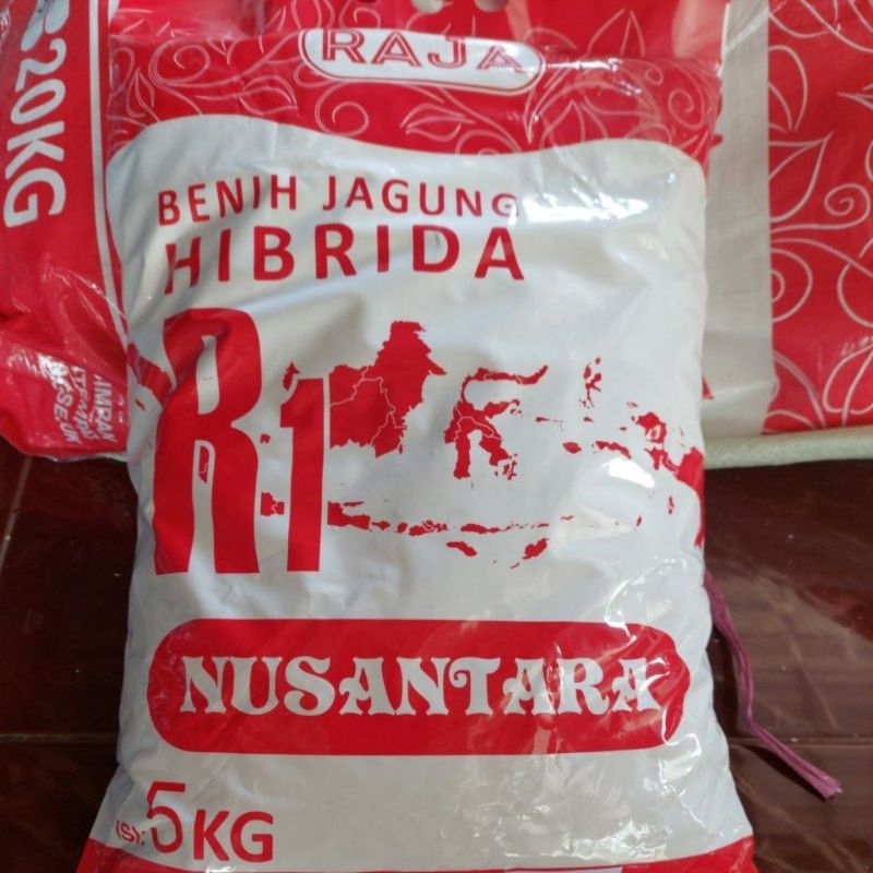 Benih jagung Hibrida Restu R7/R1 kemasan 5 Kg [STOK TERBATAS]