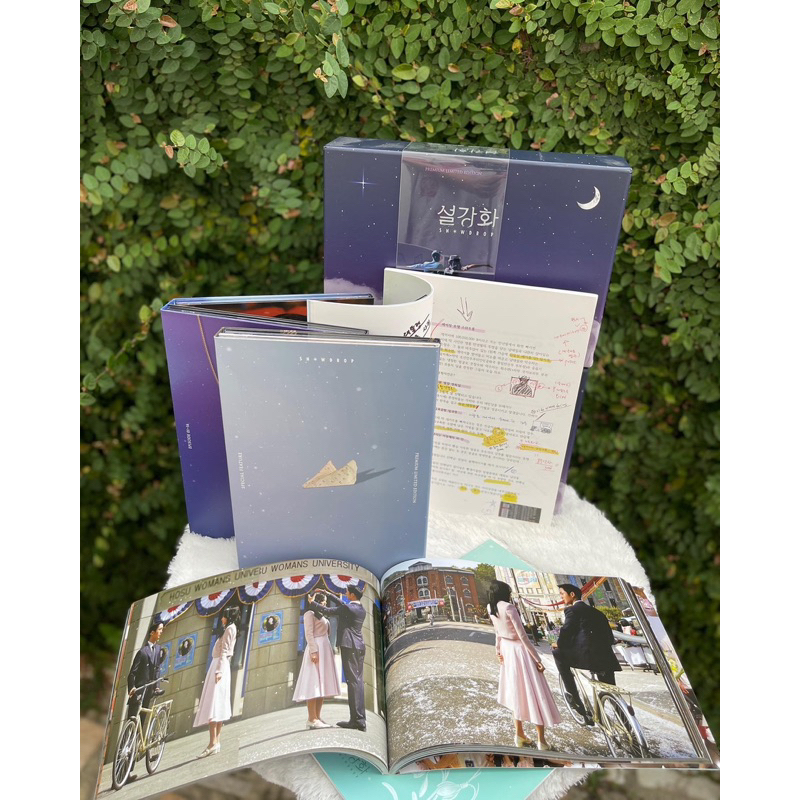 BLURAY SNOWDROP SALE 80%