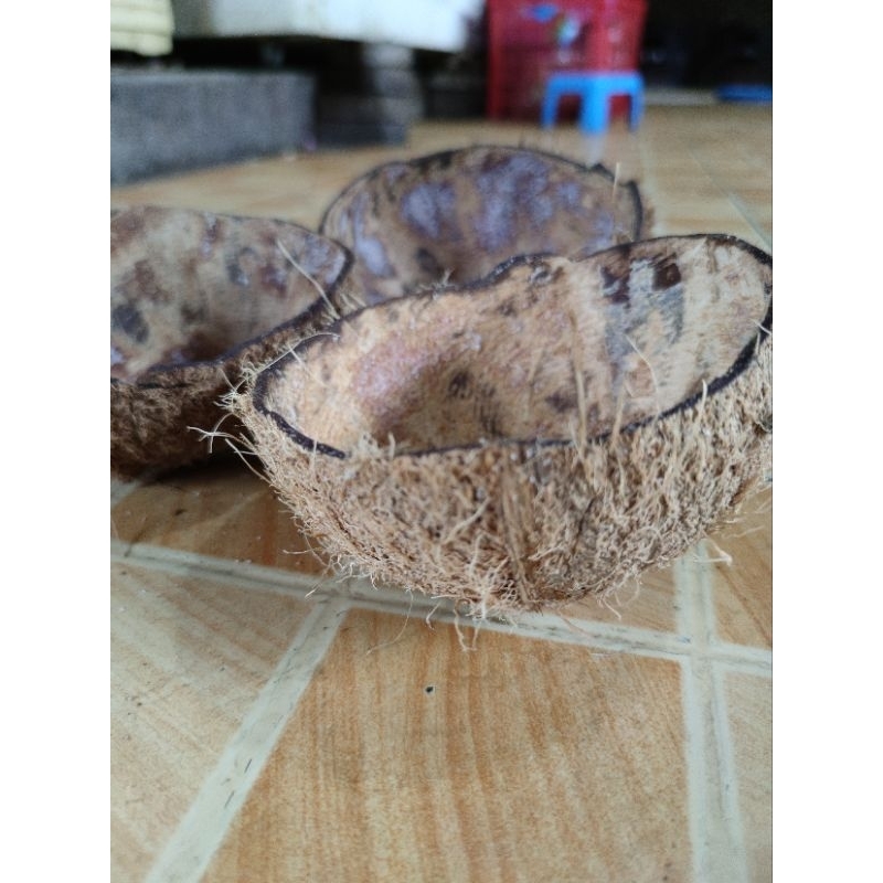Batok kelapa kering kiloan