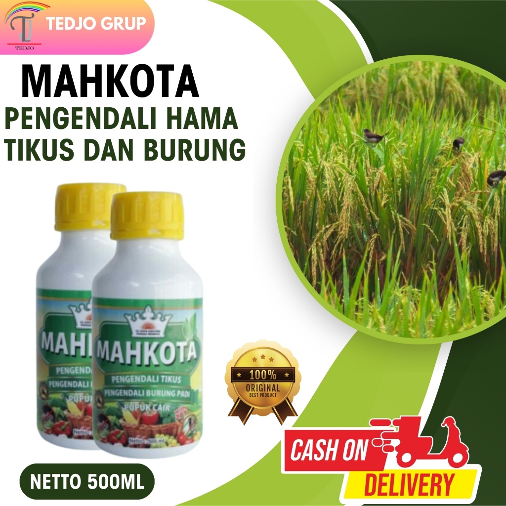 obat tikus mahkota pupuk mahkota mahkota racun tikus