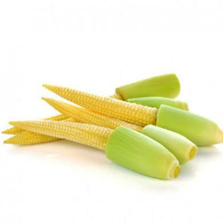 

Jagung Acar Organic / Jagung Muda / Baby Corn Segar 200gr