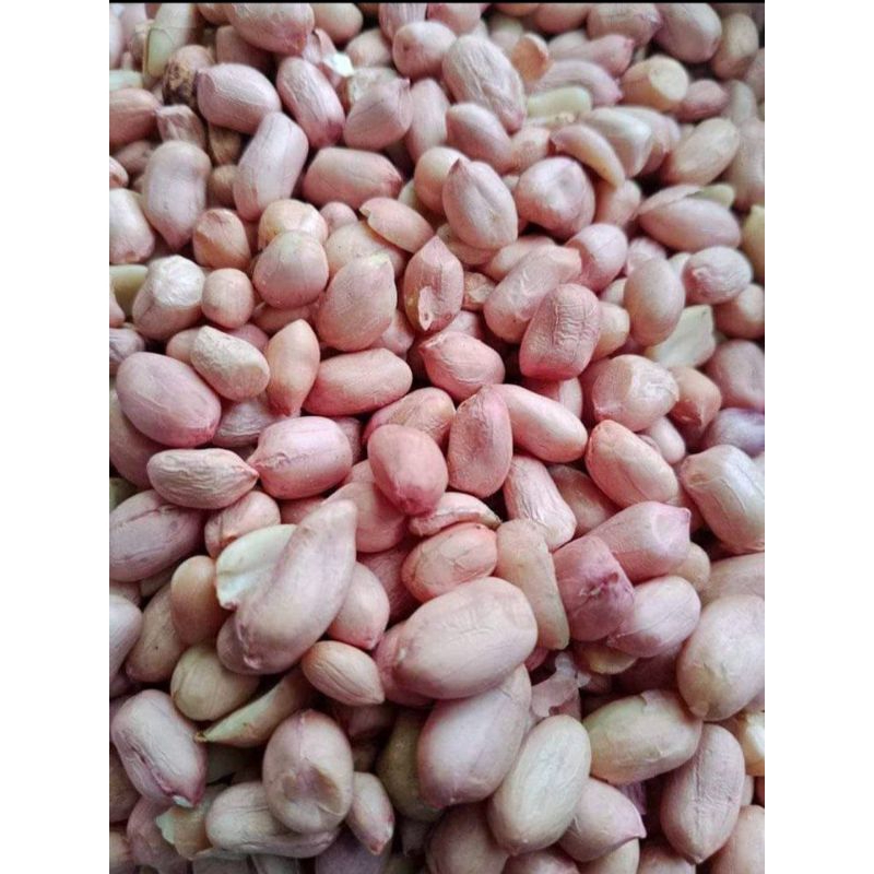 

Kacang Tanah/Wose