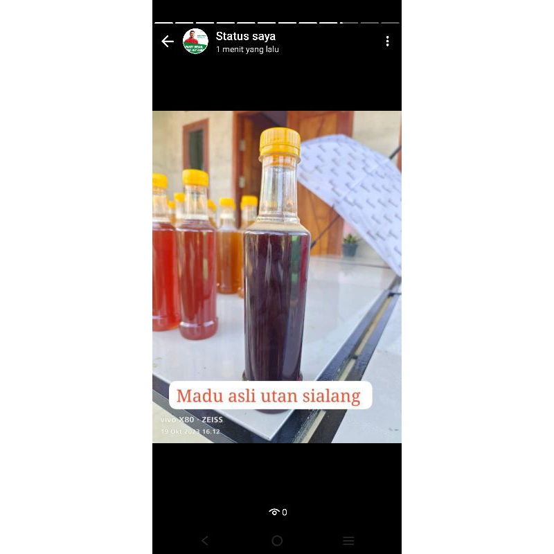 

madu utan sialang asli 100%