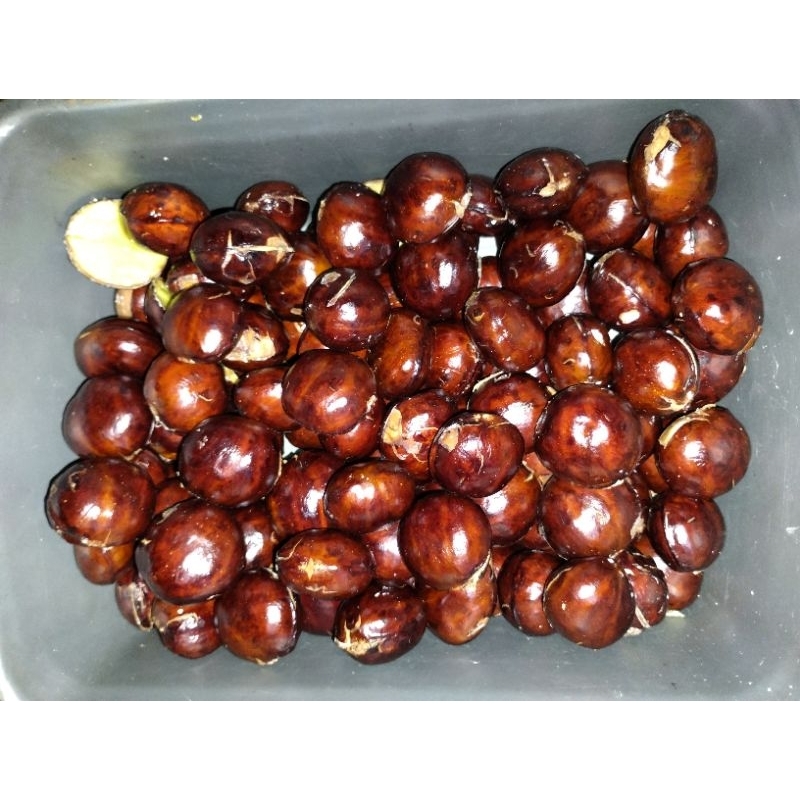 

Jengkol Lokal Jepara 1kg