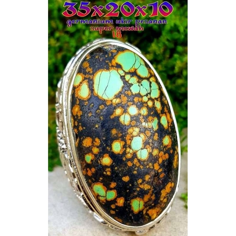 Natural pirus Hubei tibet jumbo