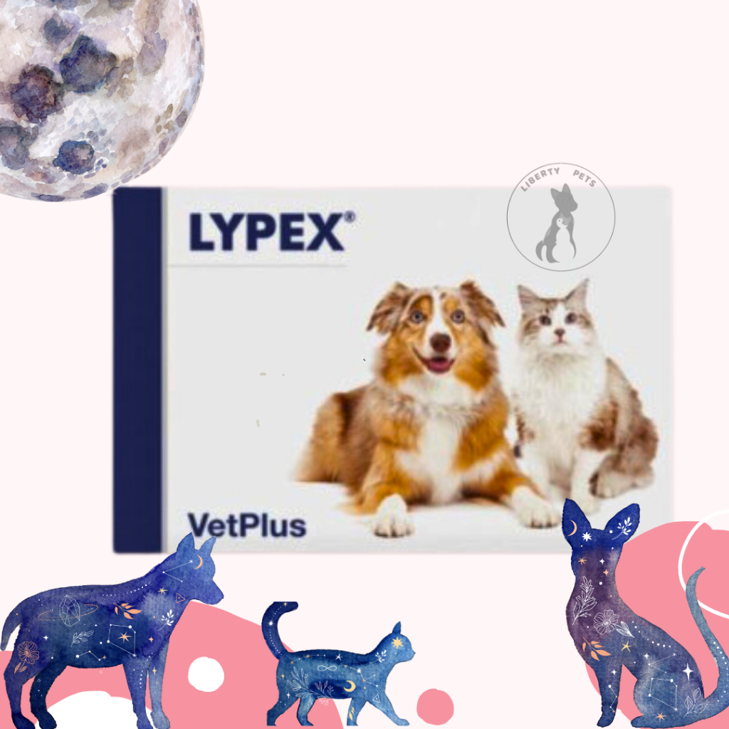Lypex VetPlus Enzim Pencernaan Anti Diare Kucing Anjing (1 Strip)