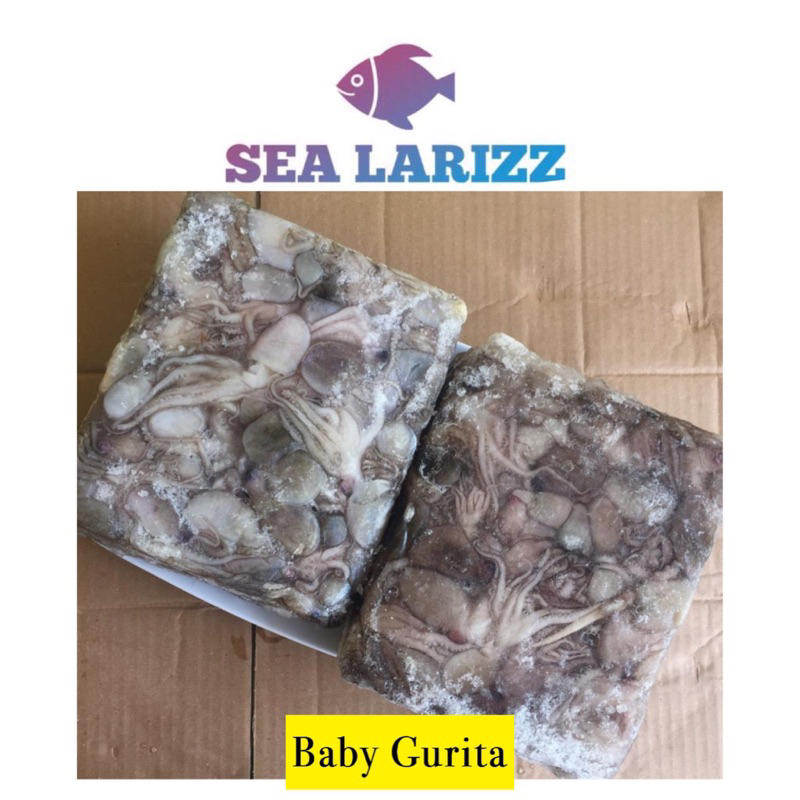 

Baby Gurita Flower / Baby Octopus
