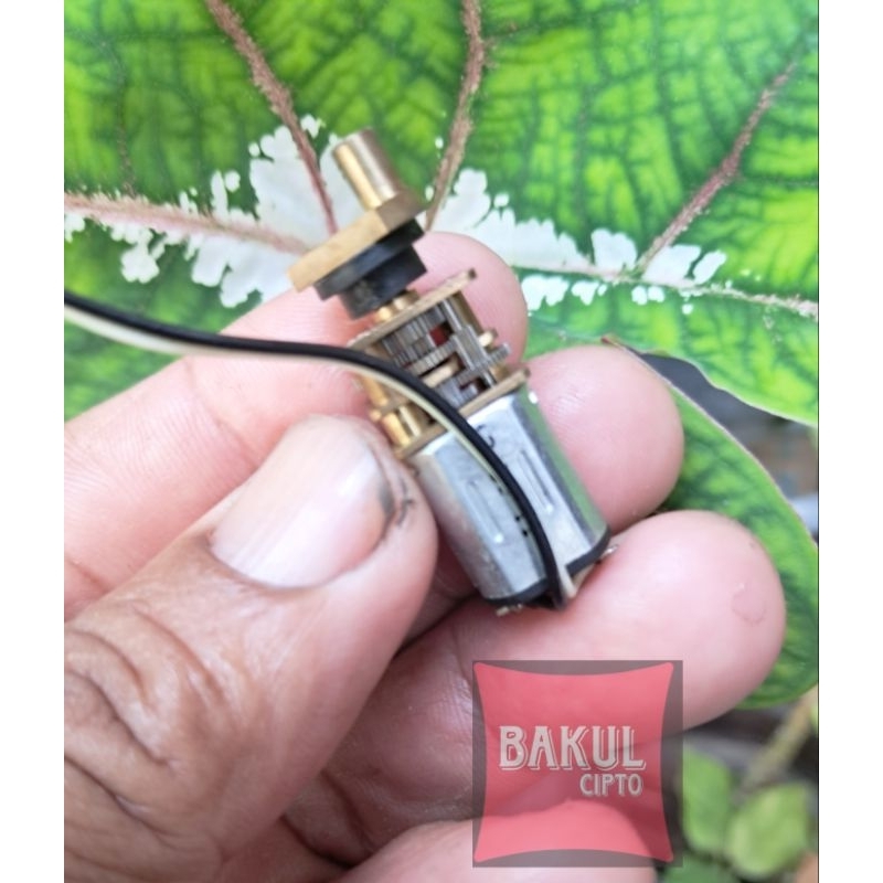 Motor DC N20 GearBox