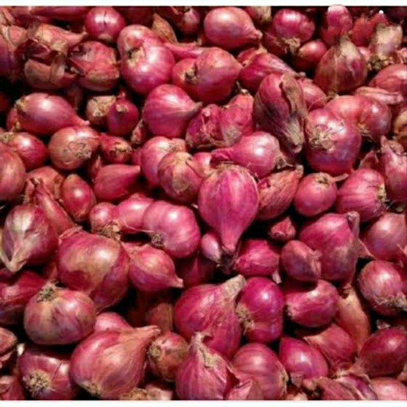 

Bawang Merah Brebes 1kg
