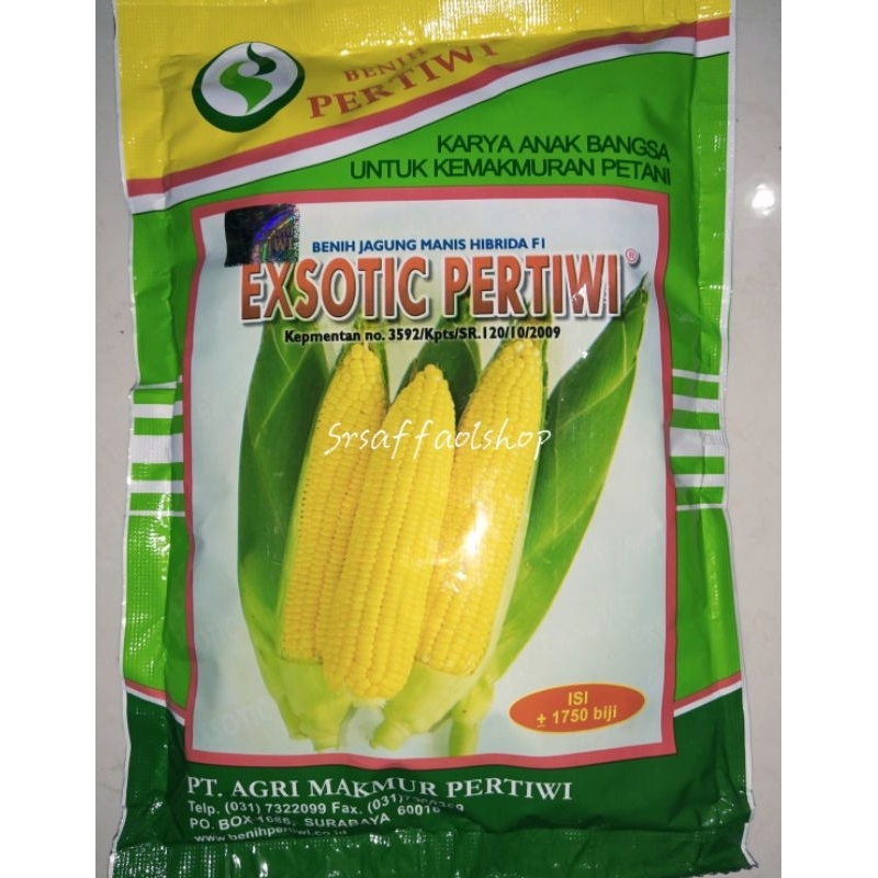 Benih Jagung Manis Hibrida F1 Exotic Pertiwi Isi +1750 biji