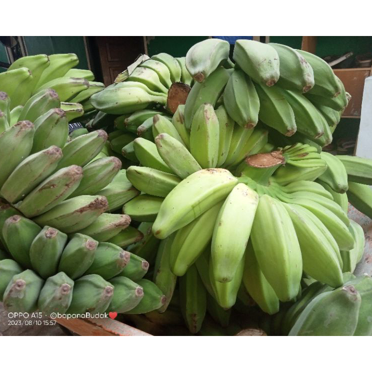 

Serba Murah kripik pisang lumer 10.000 dapat 4pcs