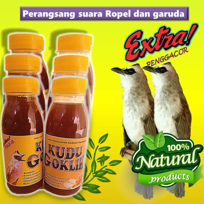 KUDU GOKLIK vitamin burung trucukan gacor doping burung trucukan ketilang sirdum cucak hijau biar ce