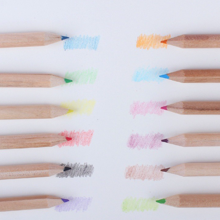 

Ready SMS Pensil Warna 12 IN 1 + Serutan Pensil Color Pencils Quality Pensil Warna Karakter Kemasan Tabung Murah Import Seller