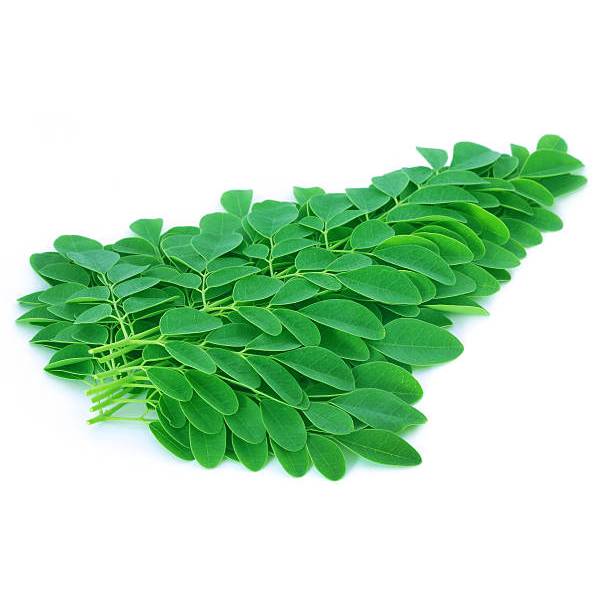 

Sayur Daun Kelor / Moringa oleifera Segar 1 Kg