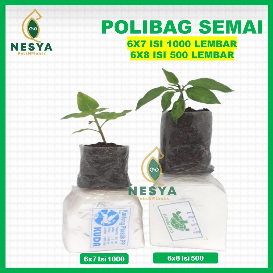 Plastik Semai Polybag Polibag Semai PP Polibag Kecil ukuran 6x7 6x8