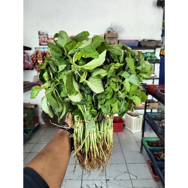 

Sayur bayam