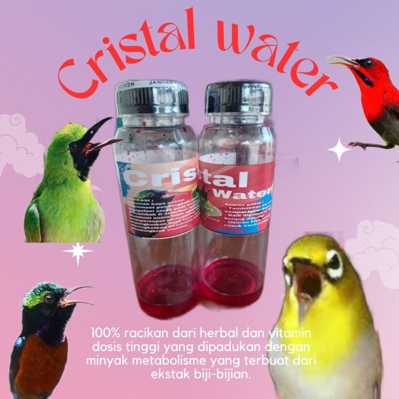 Cristal water multivitamin minuman pleci doping pleci doping sogon