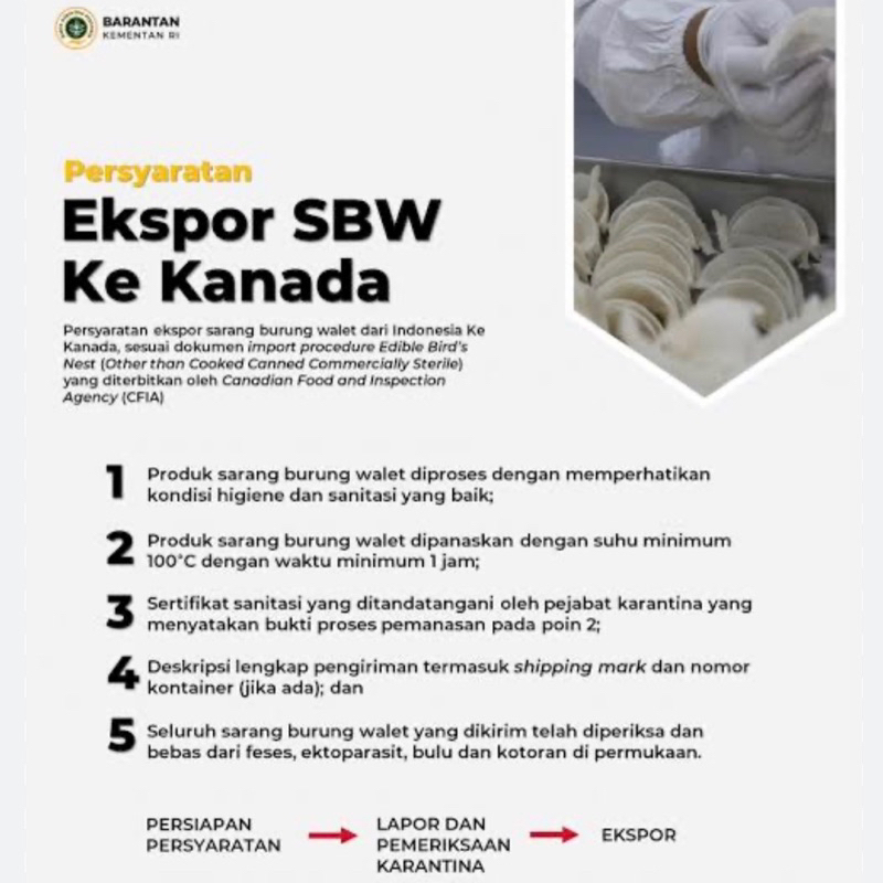 

Sarang Burung Walet ke Kanada / Sarang Walet Kanada / Walet Canada / walet indonesia kanada / sarang walet indonesia ke kanada / walet indonesia canada