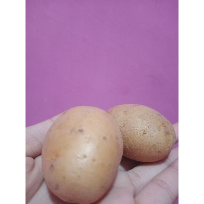 

BABY POTATO/KENTANG MINI