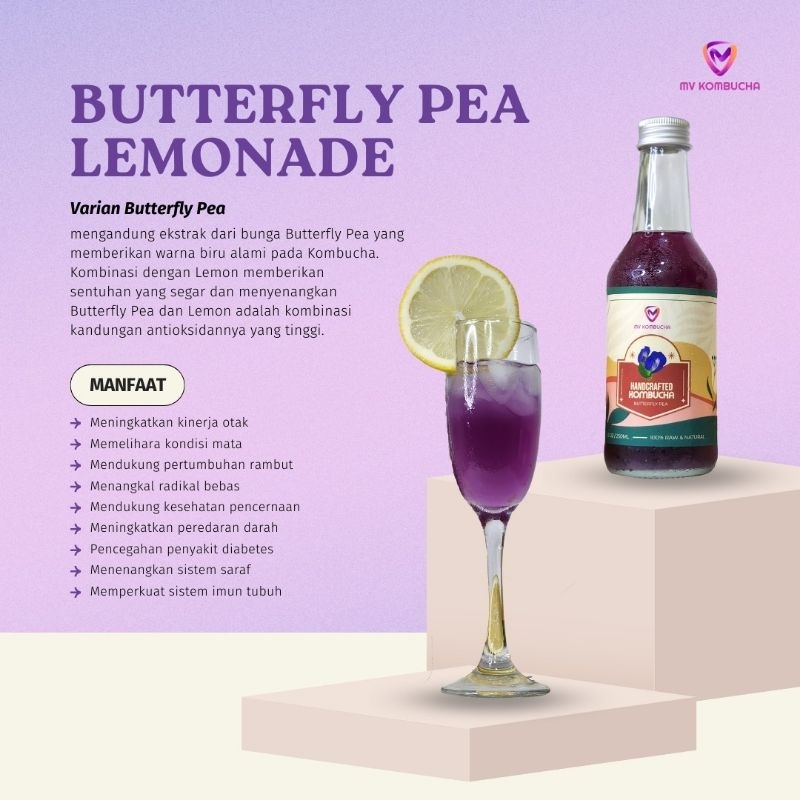 

Kombucha Butterfly Pea Lemonde