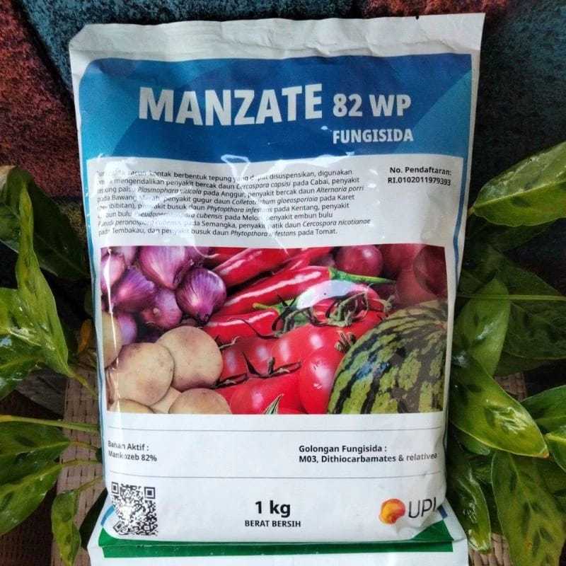 MANZATE 82 WP 1 KG
