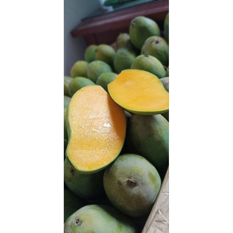 

mangga pesanan