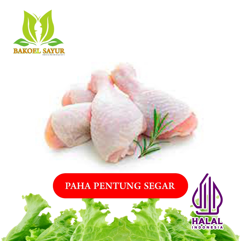 

PAHA PENTUNG SEGAR/PAHA BAWAH/DRUMSTICK