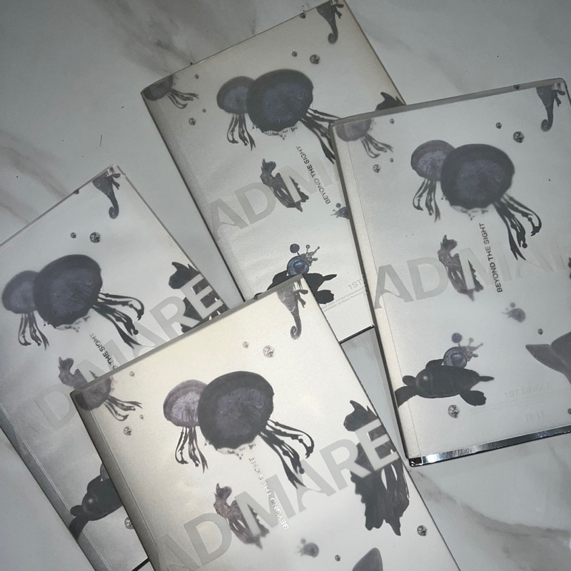 —album only nmixx ♡