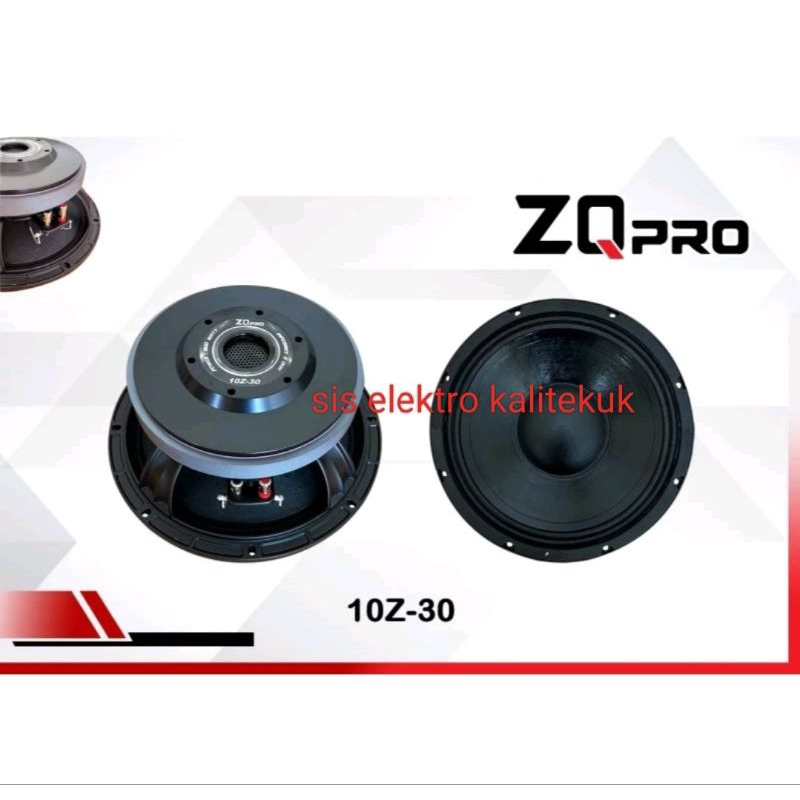 Speaker 10 Inch ZQ PRO 10Z30