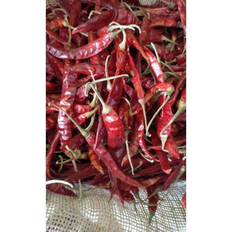 

➟➬✢ Cabe Rawit Teja Merah Kering 100Gram Tanpa tangkai Fresh Import Pedas
