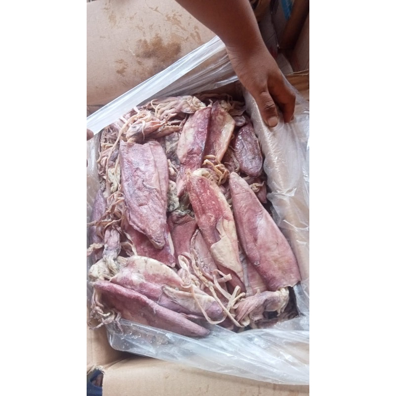 

CUMI ASIN BESAR super = 1kg best seller