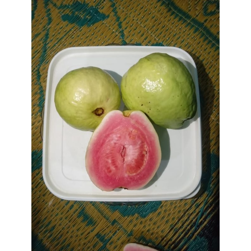 

Jambu merah 1 kg