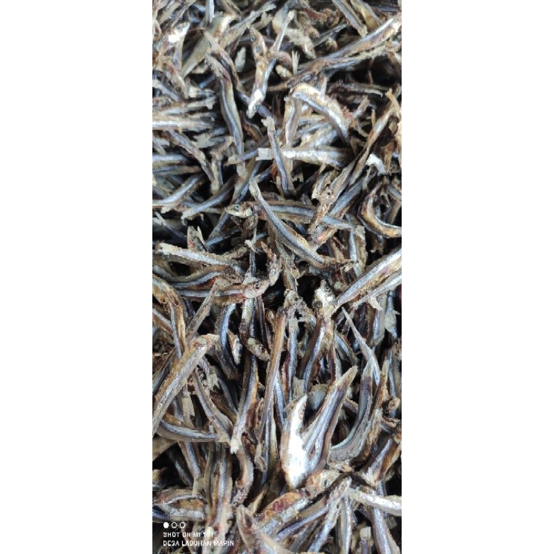 

ikan kering / Mairo / Teri Hijau