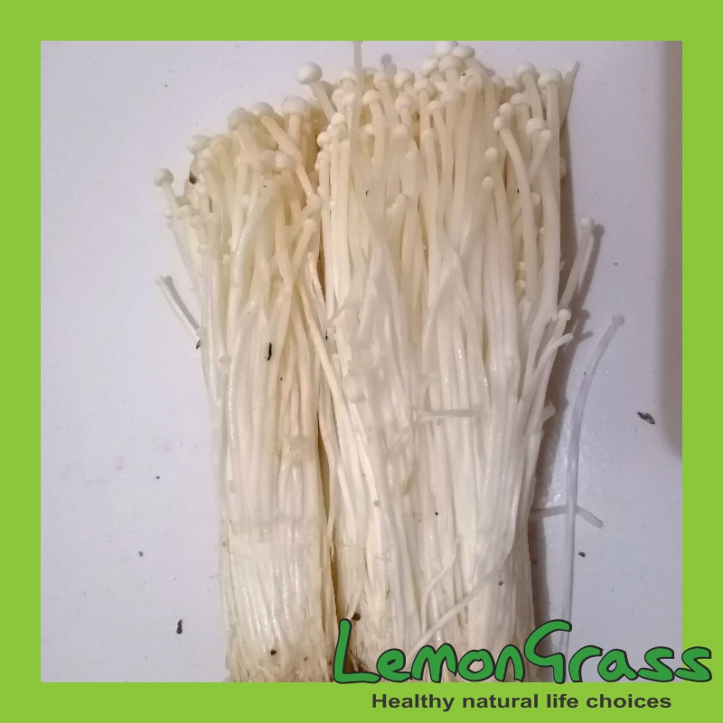 

Jamur Enoki Per Pack Kirim Instan