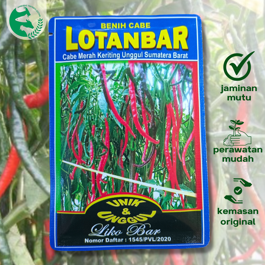 Benih Cabai Merah Keriting Varietas Rotanbar, Kemasan 10 Gram, Cocok untuk Budidaya Cabai