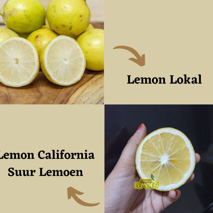 

☊↕⁑ BUAH LEMON California RIJECT PERASAN AIR BANYAK 1/2 KG By Suur Lemoen ID. Ready Stock