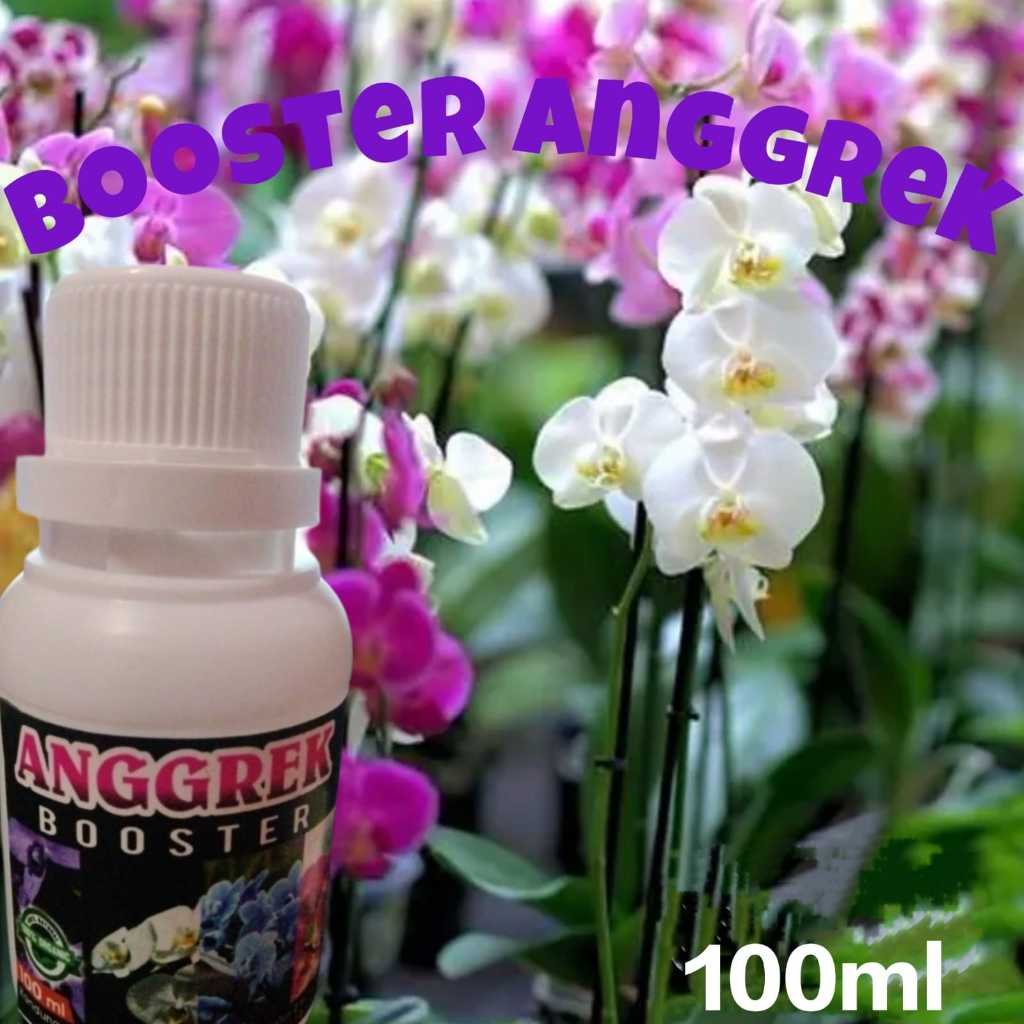 Booster Pupuk Anggrek Pemacu Bunga Lebat Akar Tunas Kilap Daun